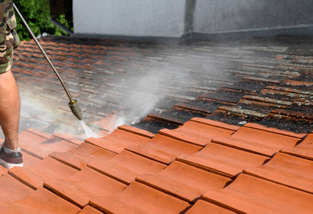 Best Roof Pressure Washing  in Gra Forks, ND